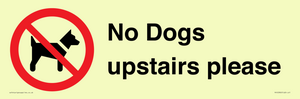 No Dogs upstairs please 